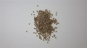 Peber, hvid, hel, 40 gram